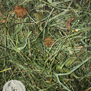 Dwupak 2kg, Sianko łąkowe i ziołowe, rodzaj 1/2. - obrazek 4