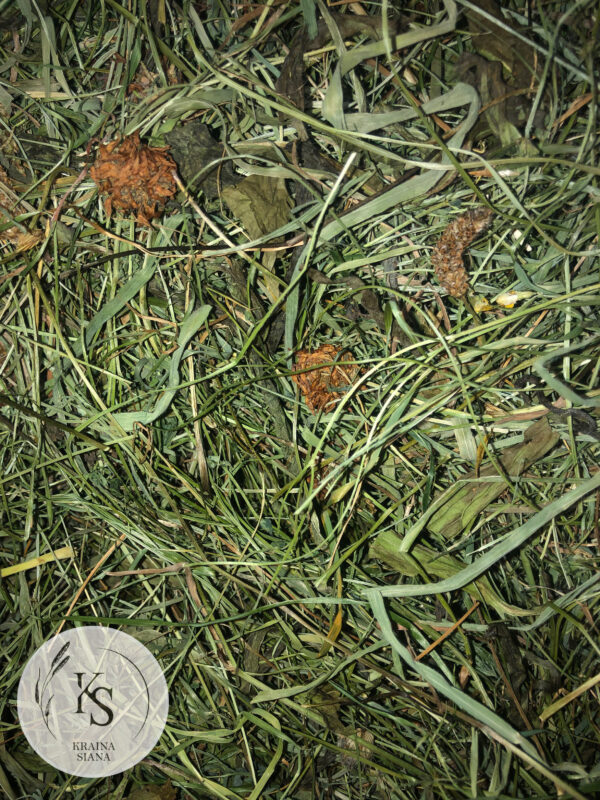 Dwupak 2kg, Sianko łąkowe i ziołowe, rodzaj 1/2. - obrazek 4