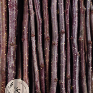 Gałązki Jabłoni dla królików