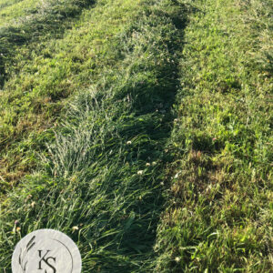 Sianko ziołowe, idealne dla niejadków - workowane, rodzaj 2. - obrazek 2