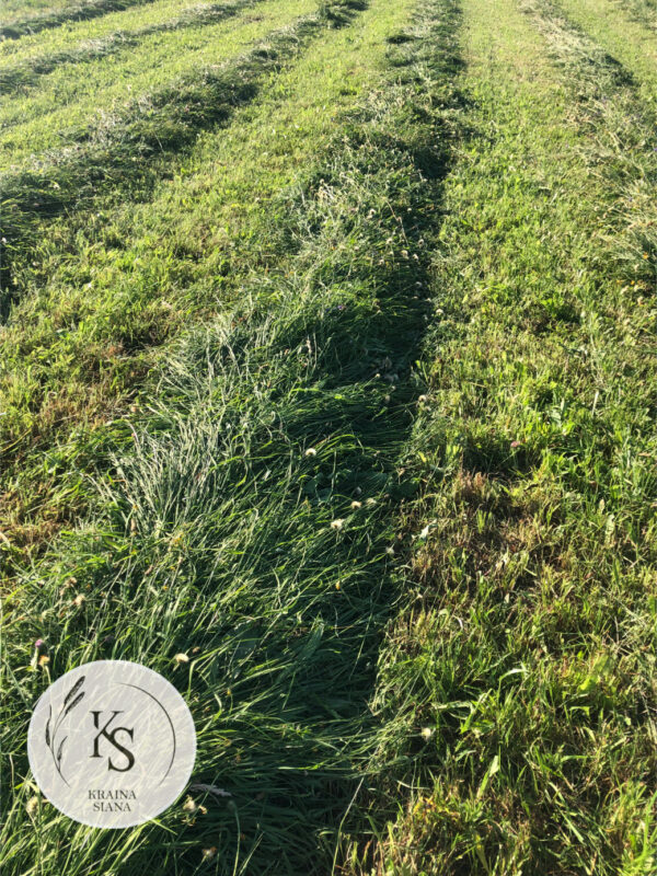 Sianko ziołowe, idealne dla niejadków - workowane, rodzaj 2. - obrazek 2