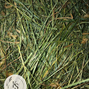 Sianko 2025 łąkowe z tymotką, klasyczne, rodzaj 1. - obrazek 1