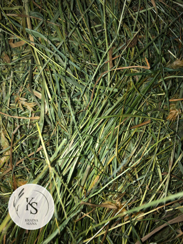 Sianko 2025 łąkowe z tymotką, klasyczne, rodzaj 1. - obrazek 1