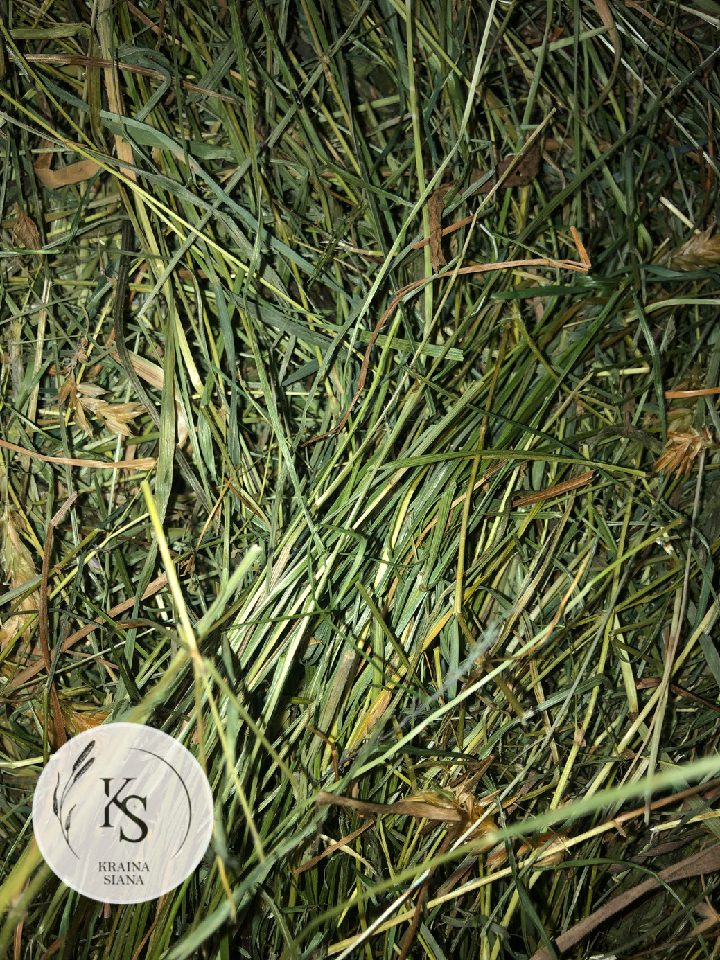 Sianko 2025 łąkowe z tymotką, klasyczne, rodzaj 1. - obrazek 1