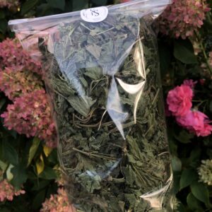 Pokrzywa cała - obrazek 1