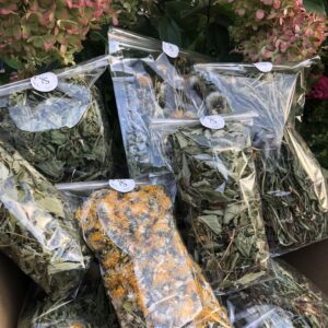 Kwiat mniszka lekarskiego - obrazek 2