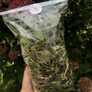 IMG_8588 Babka lancetowata-100g