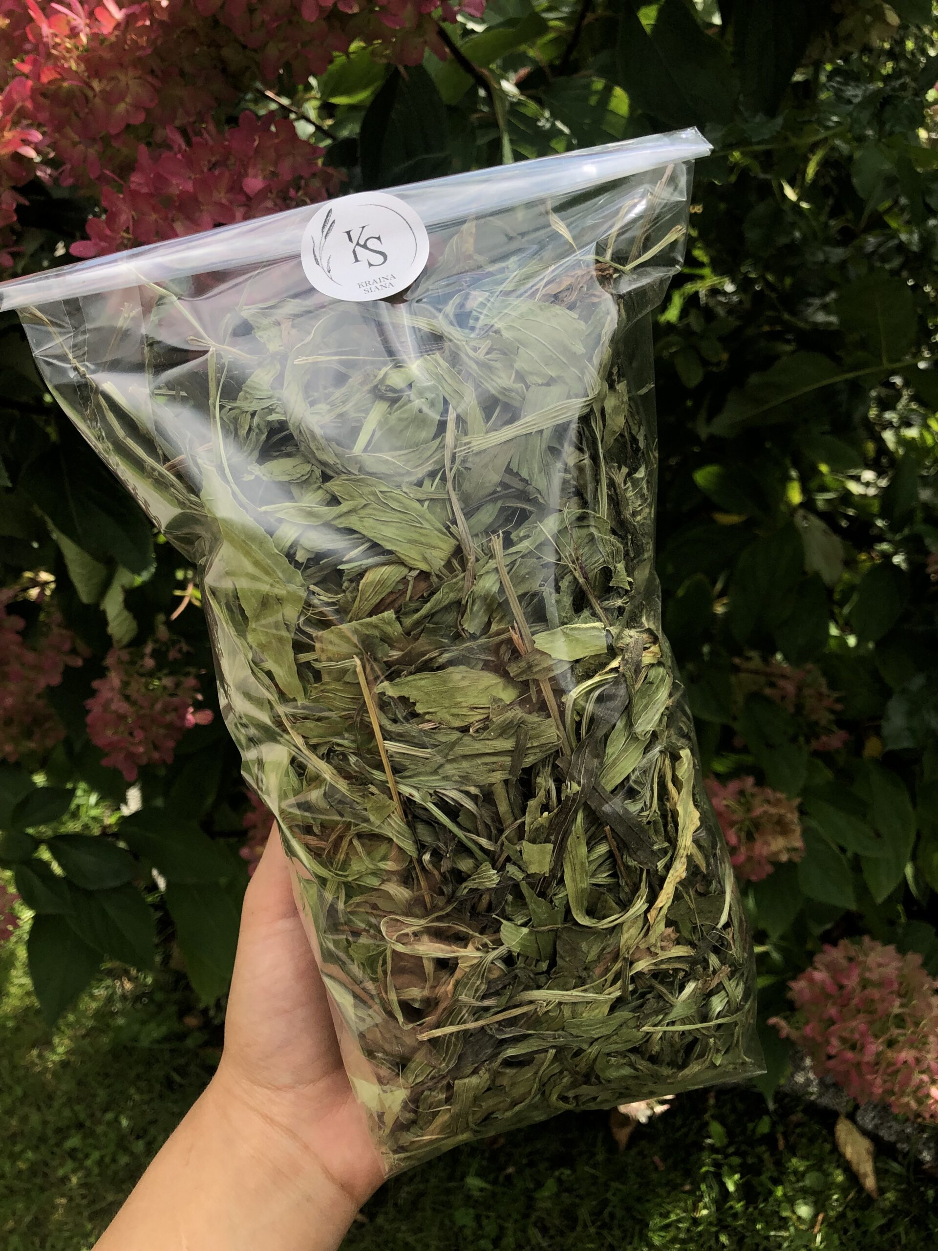 Babka lancetowata-100g - obrazek 1