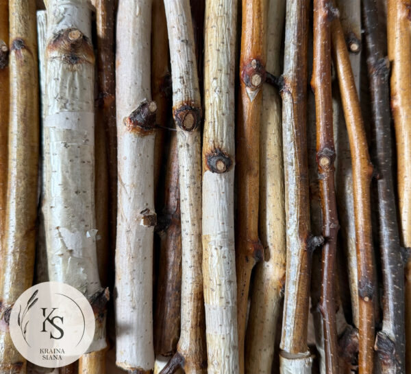 Gałązki brzozy-100g