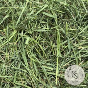 Siano tymotkowe z suszarni premium- workowane - obrazek 2